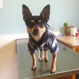 Meet your Posher, Riley